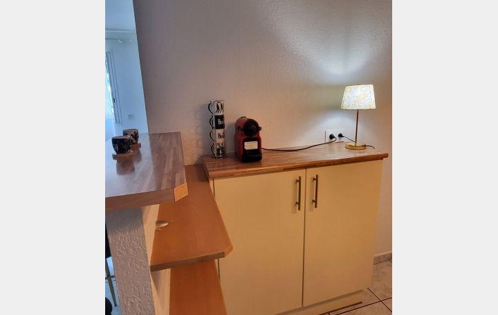 Annonces SAINTCYPRIEN : Appartement | PERPIGNAN (66000) | 58 m2 | 750 € 